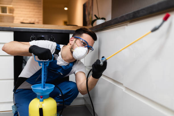 Best Affordable Pest Control Services  in Weston Lakes, TX