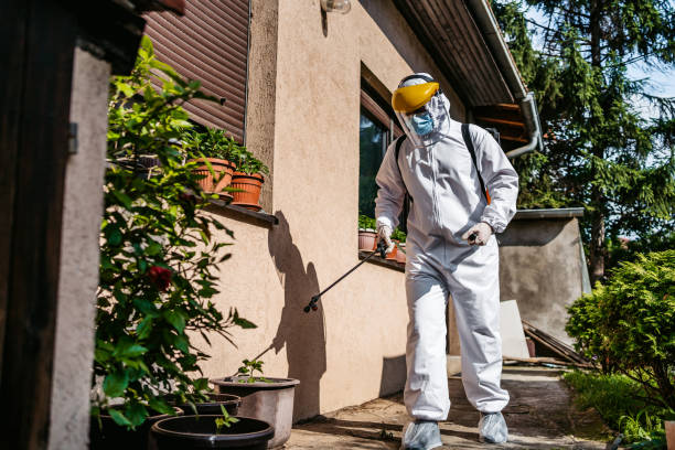 Best Ant Control Services  in Weston Lakes, TX