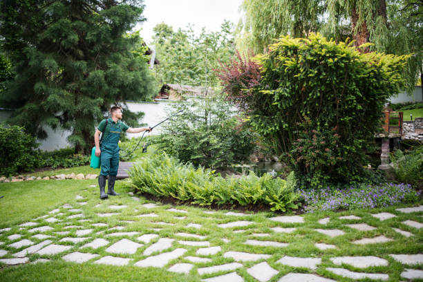 Trusted Weston Lakes, TX Pest Control Experts