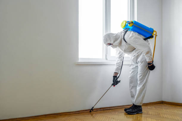 Best Commercial Pest Control Services  in Weston Lakes, TX