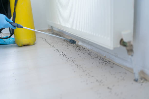 Best Mosquito Control Services  in Weston Lakes, TX