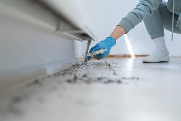 Best Pest Control Near Me in Weston Lakes, TX