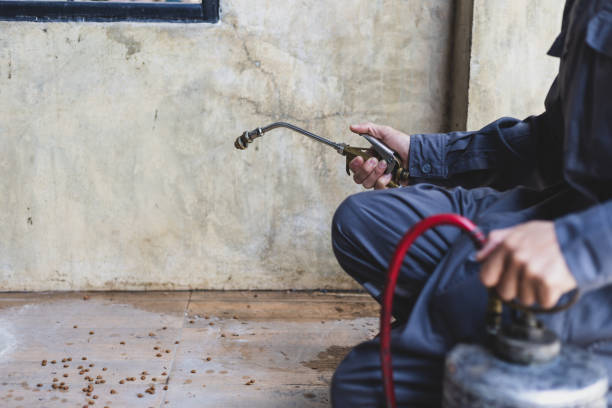 Reliable Weston Lakes, TX Pest Control Solutions